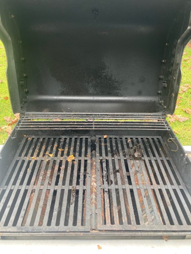 dirty grill interior close-up