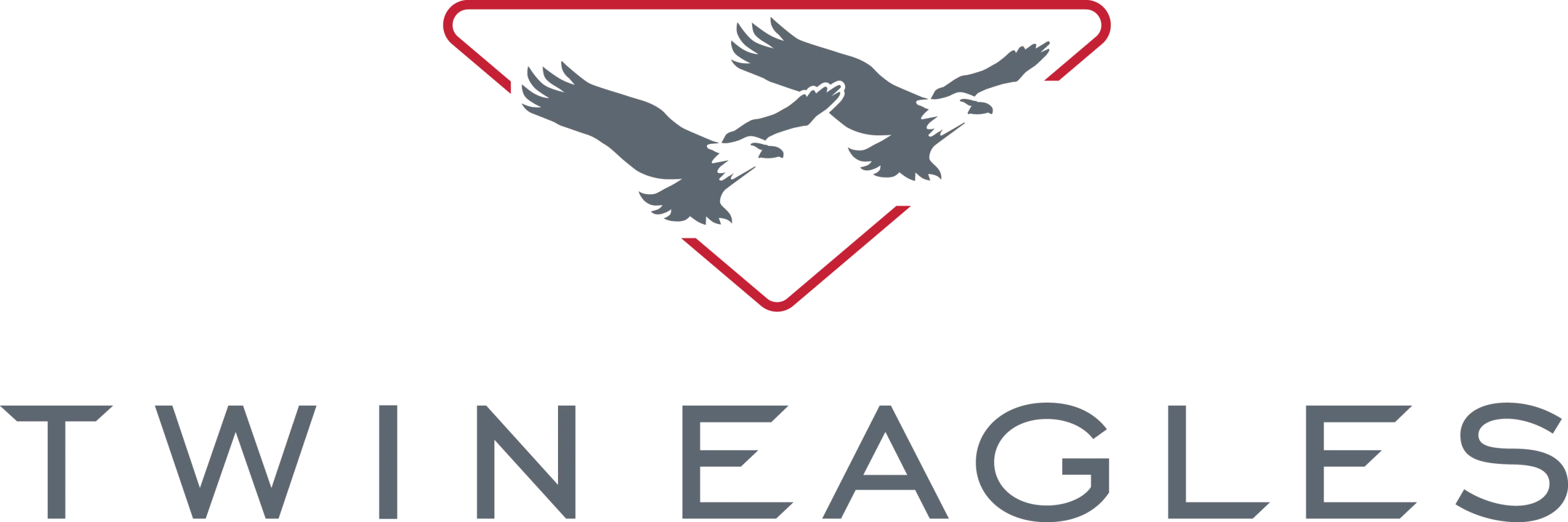 Twin Eagles logo